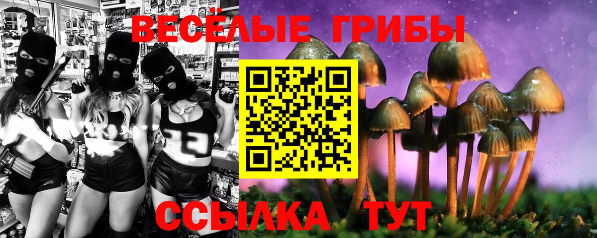 Псилоцибиновые грибы Psilocybine cubensis Тобольск